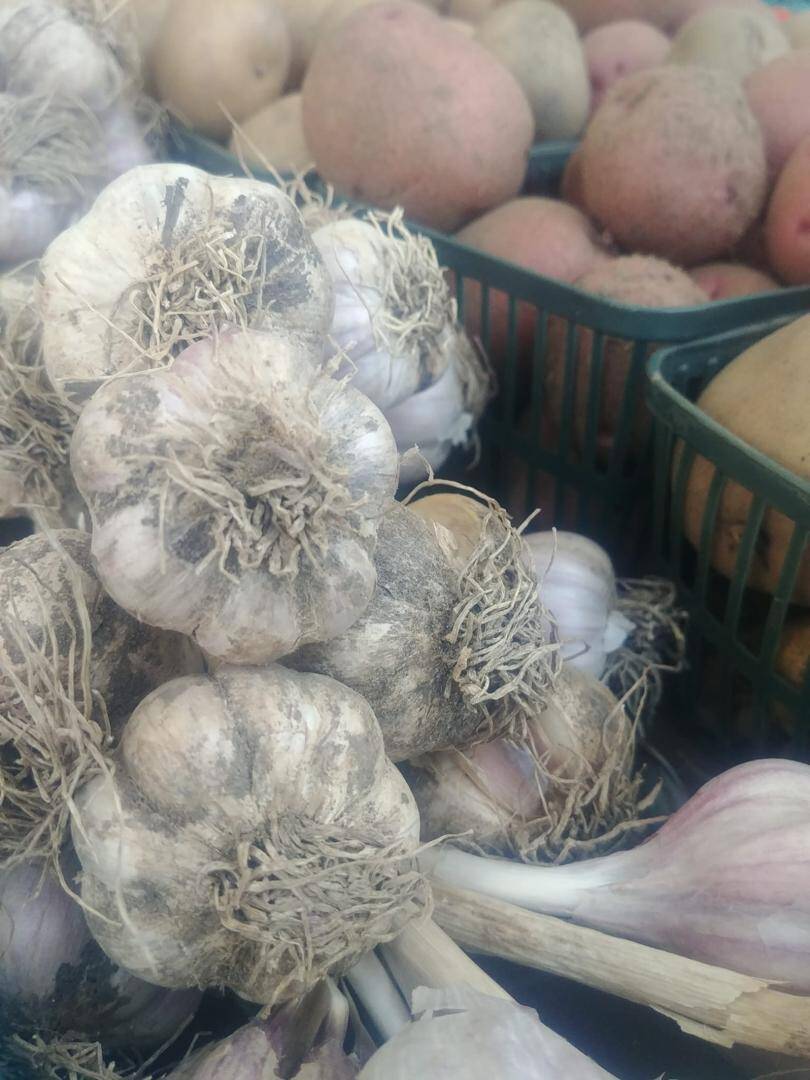 Scarborough Farmers' Market Scarborough Farmers' Market